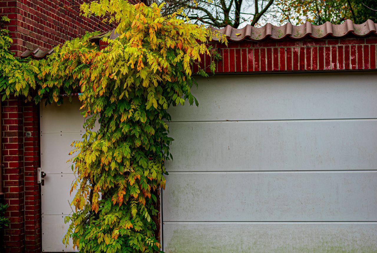 Garage door service in Saint Paul, MN